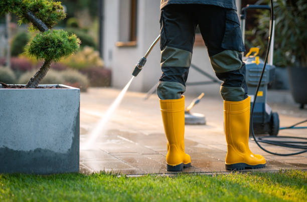 Best Roof Pressure Washing  in Clinton, NC